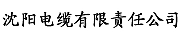 首播影院电缆厂logo